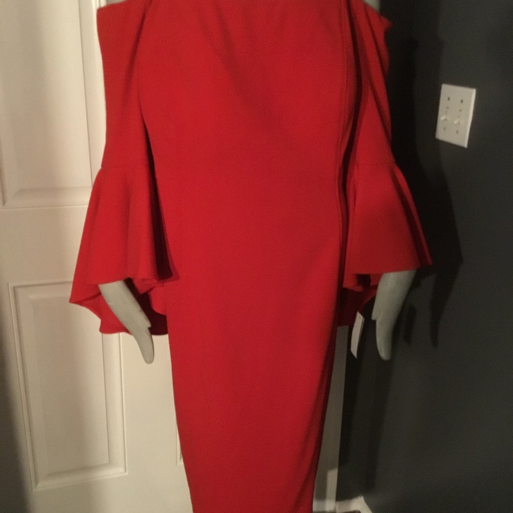 Plus Size Dress - Picture 7 of 8